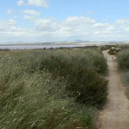 Salt Near And טורבייחה